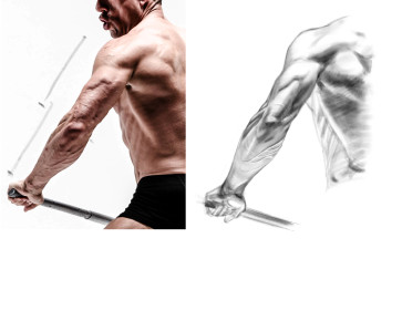 Arm — figure reference