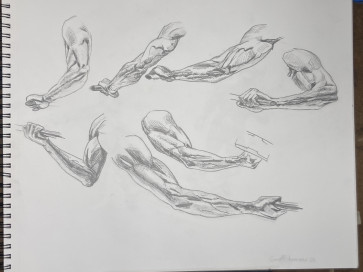 Arm Studies — figure reference