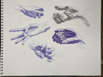 Female Hand Studies — figure reference
