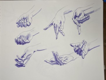 Study of the hand — figure reference