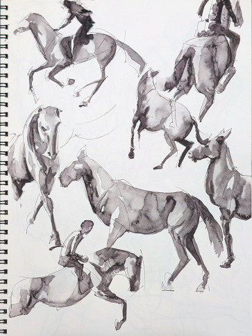 Horses — figure reference