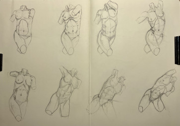 Torso 01 — figure reference