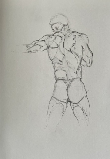 Back — figure reference