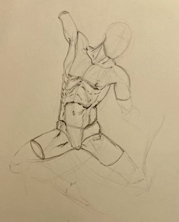 Torso — figure reference