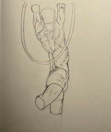 Back — figure reference