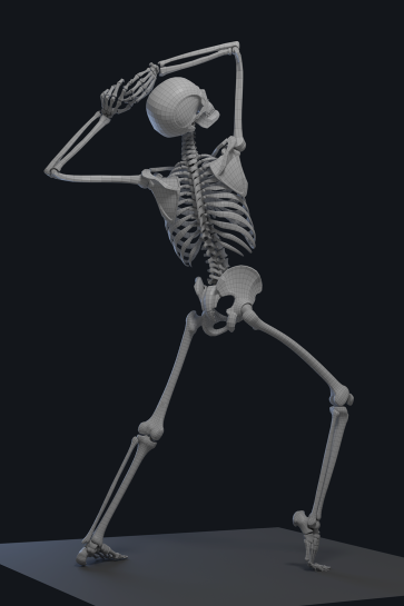 Skeleton Study 1 — figure reference