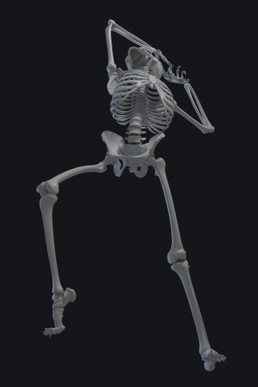 Posed Skeleton — figure reference