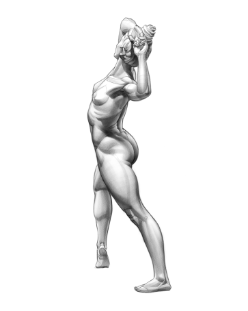 Figure Study — figure reference