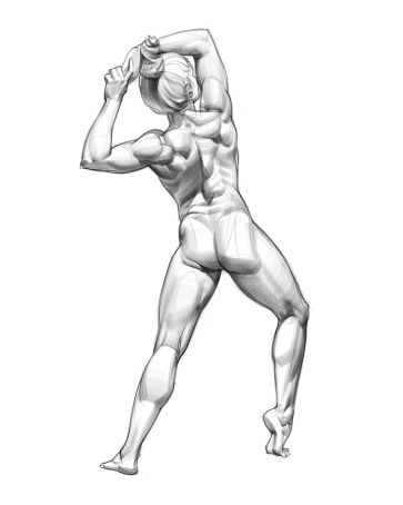 Figure Study — figure reference