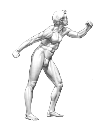 Figure Sketch — figure reference