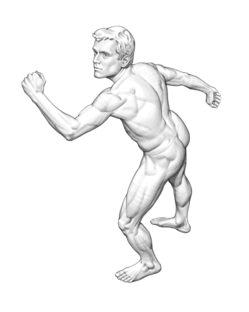 Figure Sketch — figure reference