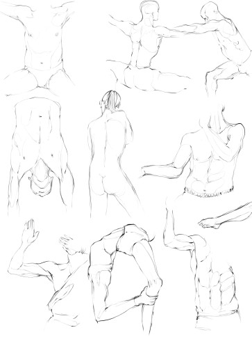daily-20-8-25 — figure reference