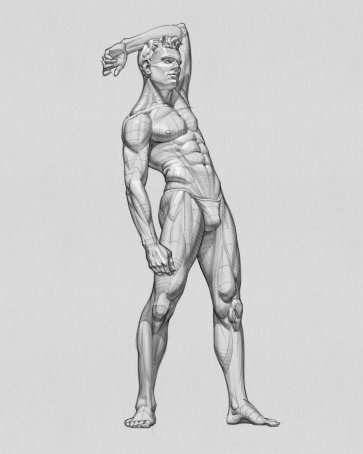 Figure Study — figure reference