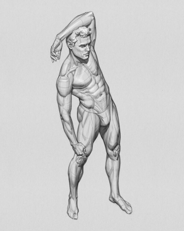 Figure Study — figure reference