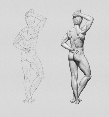 Figure Study — figure reference