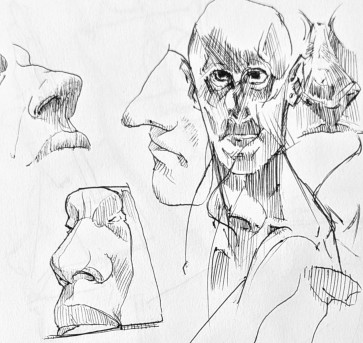 Face sketches — figure reference