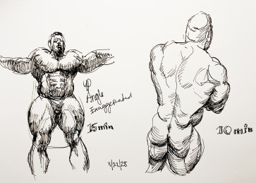 Foreshortening Muscle Study — figure reference