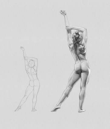 Figure Study — figure reference