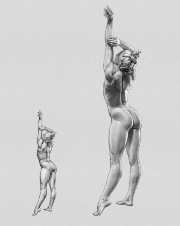 Figure Study — figure reference