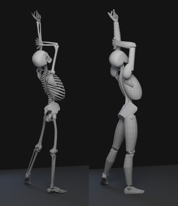 Skeleton Posing — figure reference