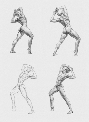 Studies — figure reference
