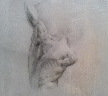 Chinesemalepole3 — figure reference