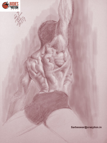anatomy study — figure reference