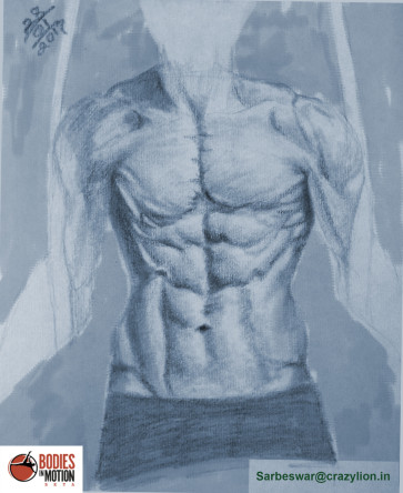 anatomy_study2 — figure reference