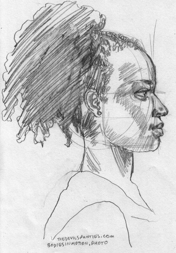 profile sketch — figure reference