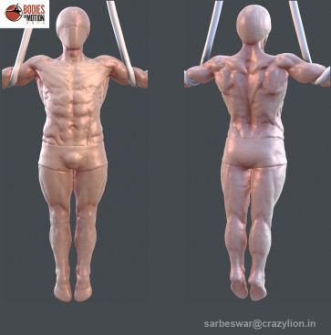 anatomy_study — figure reference