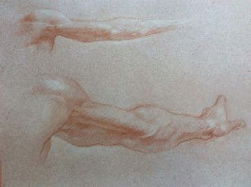 amyhoop2 — figure reference