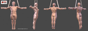 anatomy study — figure reference
