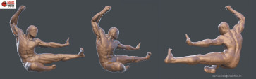 anatomy_study_04 — figure reference