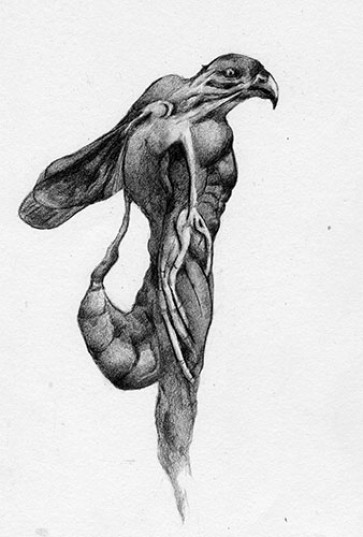 "Birds and the Bees" — figure reference