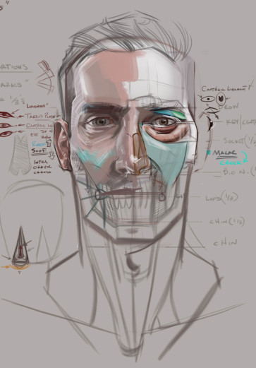 Head/Skull lecture — figure reference