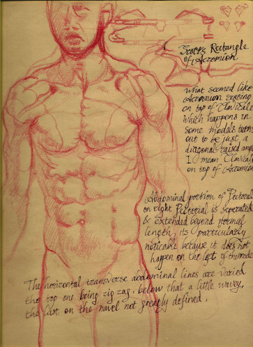 male straps 2 — figure reference