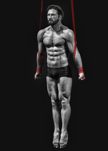 Anatomy Study — figure reference