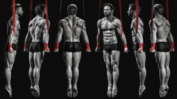Anatomy Study — figure reference