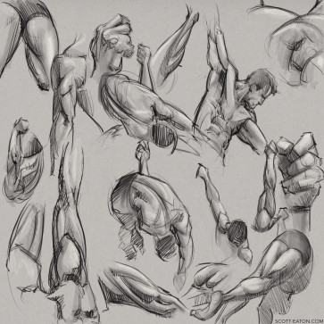 Anatomy studies from Male Chain — figure reference
