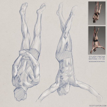 Male Straps Study — figure reference