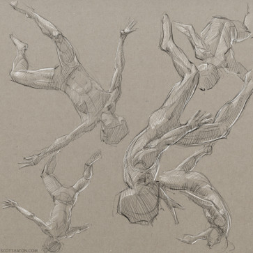 Falling studies — figure reference