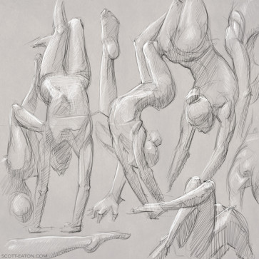Handbalance Studies — figure reference