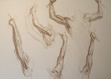 Arm Studies — figure reference