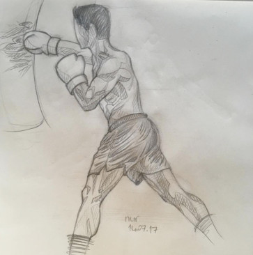 boxer2_sketch — figure reference