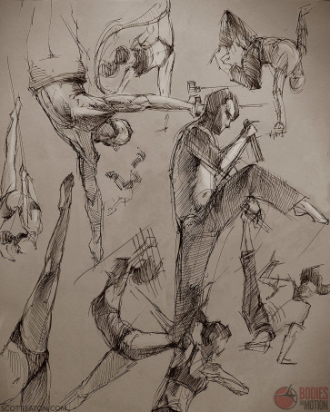 Various Studies from BiM — figure reference