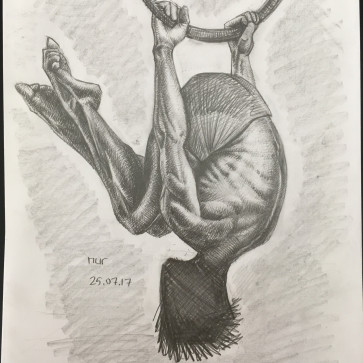male hoop — figure reference