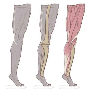 Male Ballet 1 - 11 — figure reference