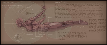 exterior forms of the trunk I — figure reference