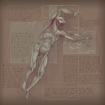 Study V — figure reference