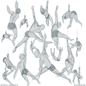 Male Chain 10 studies — figure reference